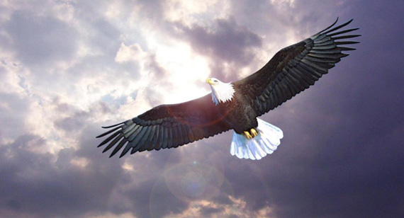 365速发国际(中国)官方网站