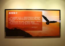 365速发国际(中国)官方网站