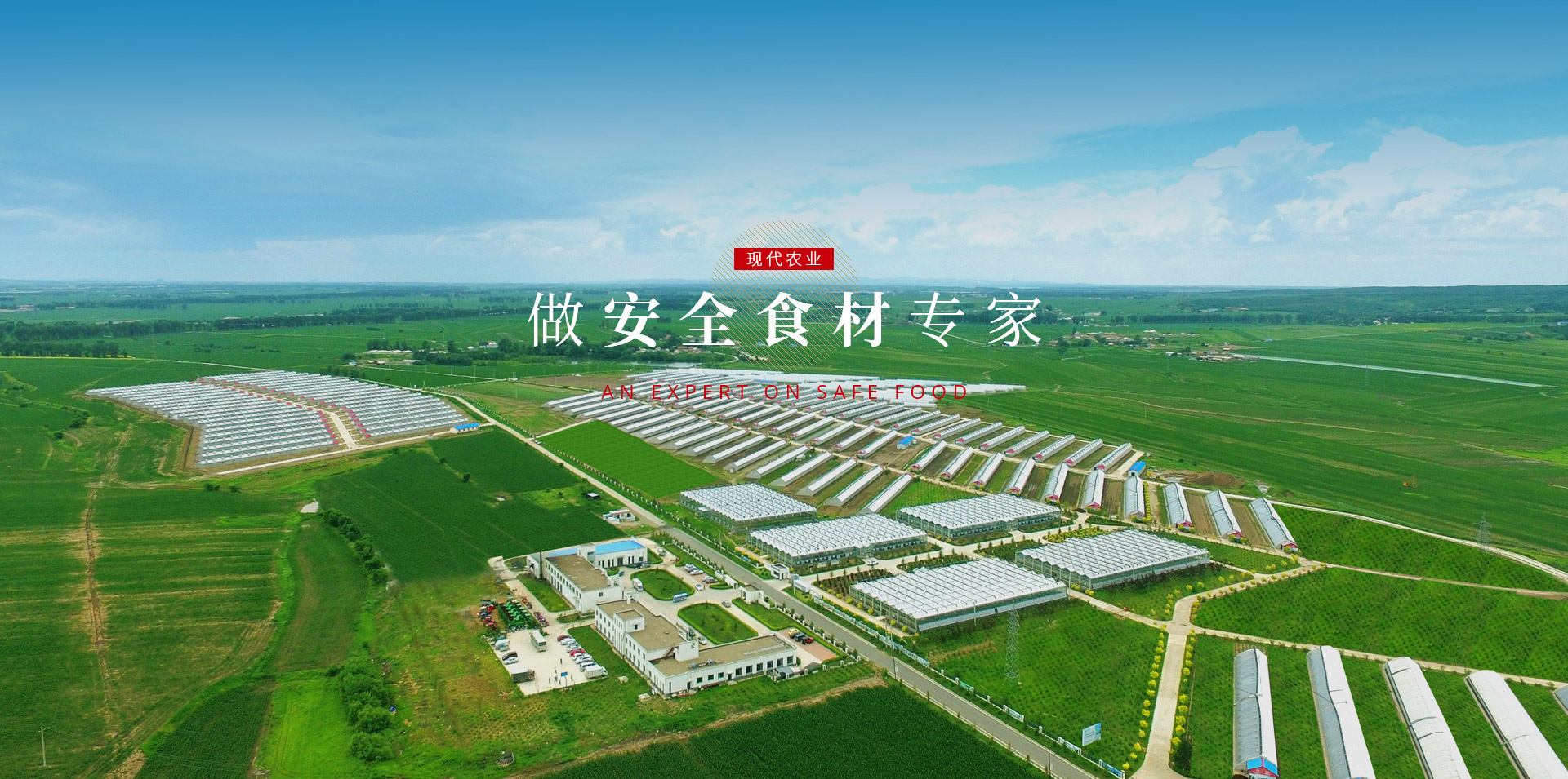 365速发国际(中国)官方网站