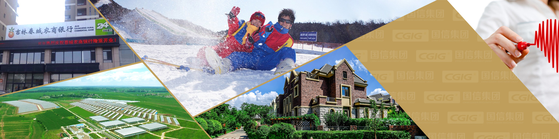 365速发国际(中国)官方网站