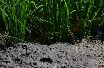 365速发国际(中国)官方网站