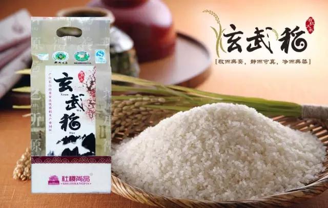 365速发国际(中国)官方网站