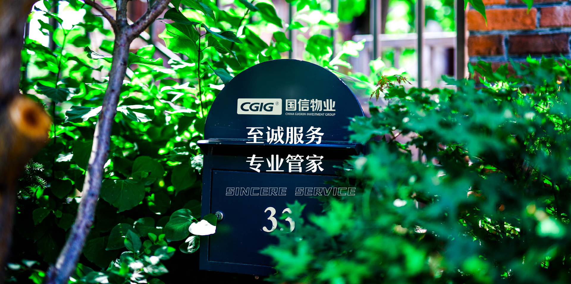 365速发国际(中国)官方网站