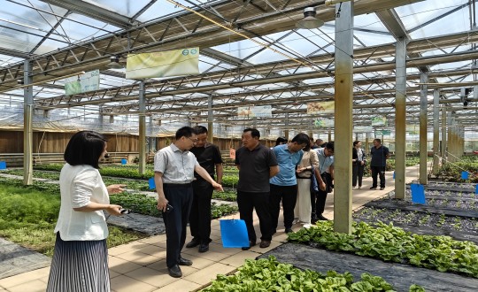 2024年6月27日，，，，，，，，中国绿色食物生长中心相关向导莅临农业总公司考察调研_副本.jpg